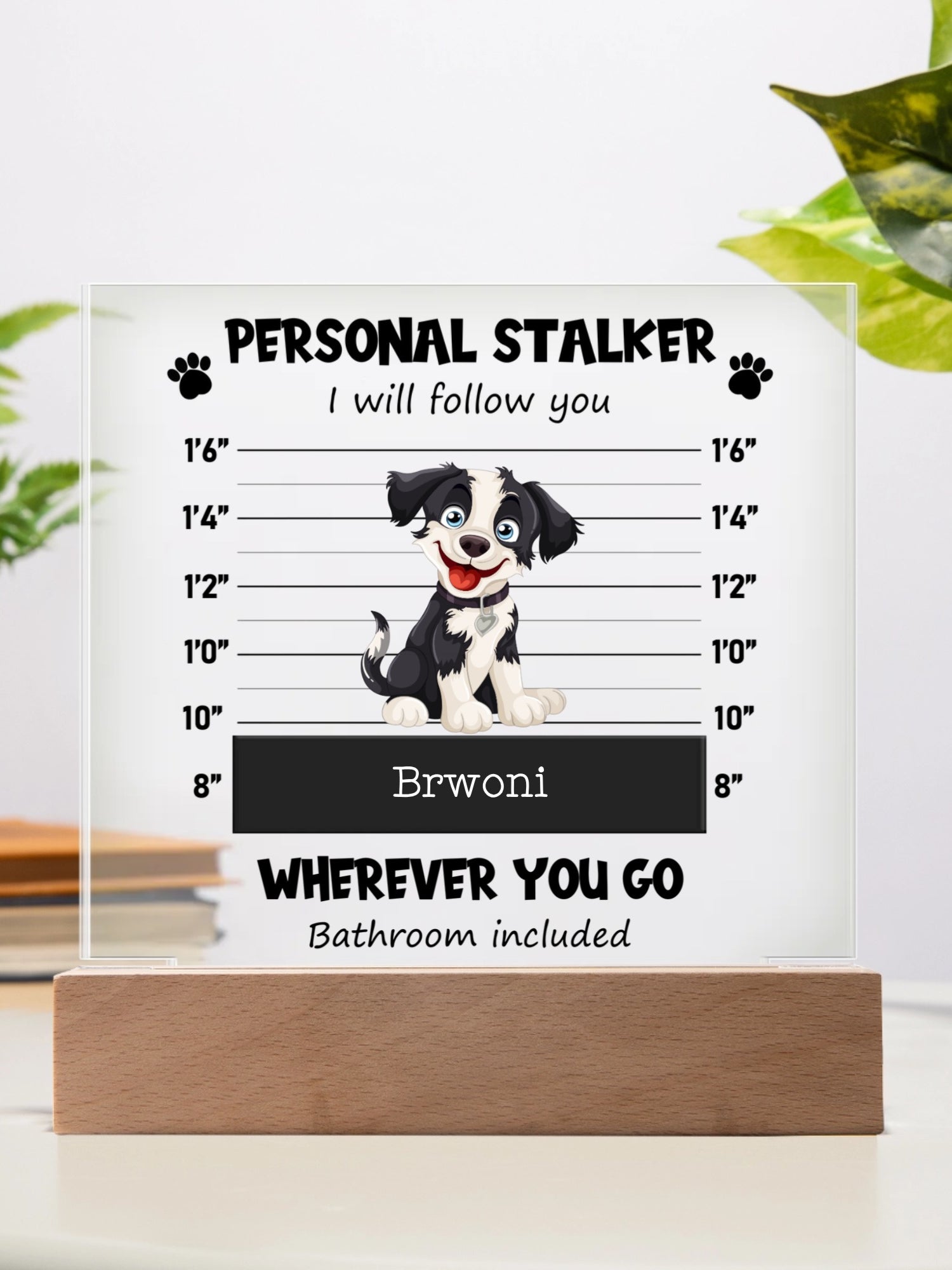 Acrylic Square Plaque, Your Pet's Picture for office .