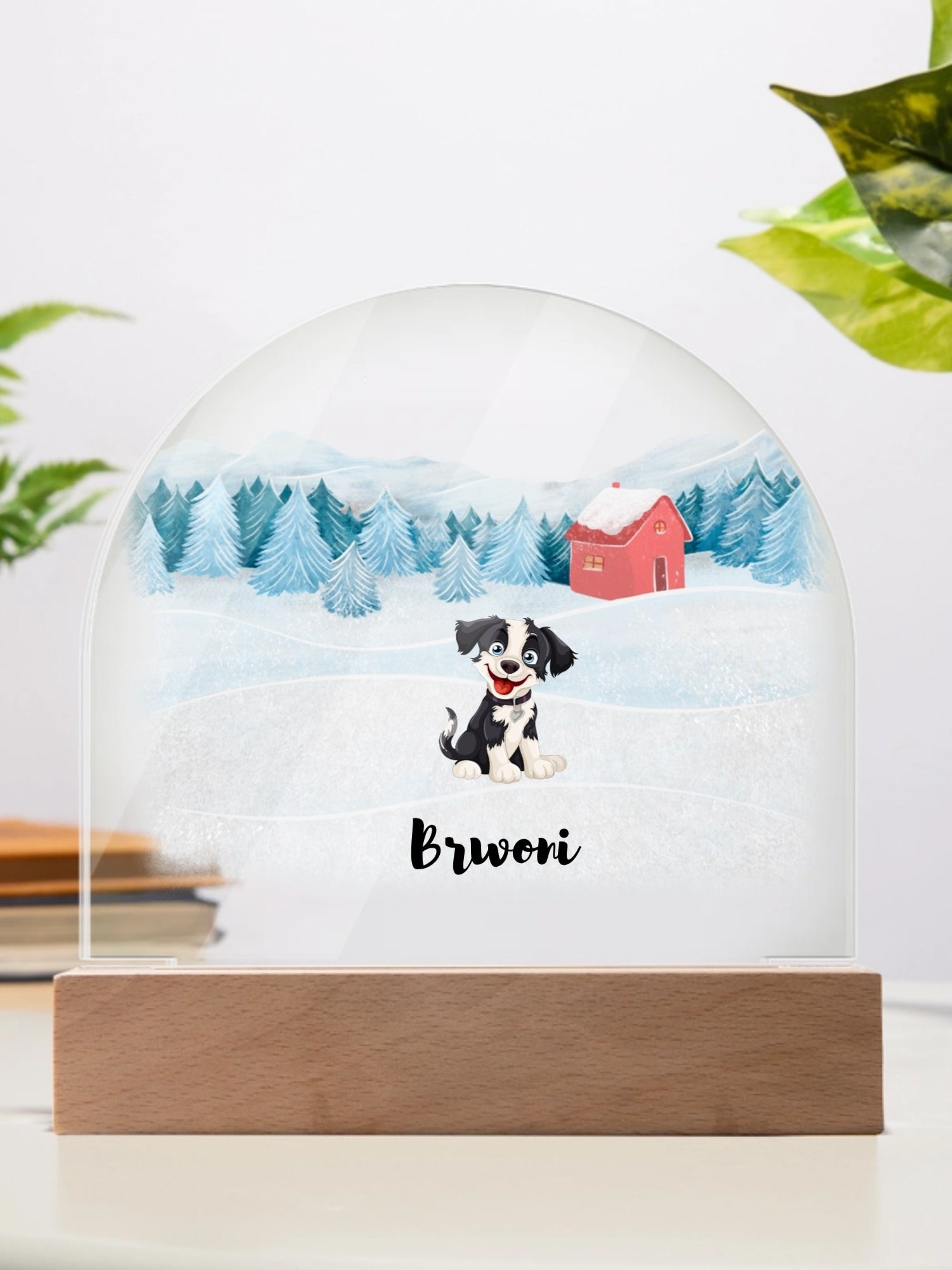Acrylic Dome Plaque