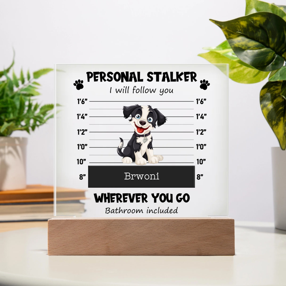 Acrylic Square Plaque, Your Pet's Picture for office .